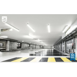 MAS LEDTUBE VLE UN 15.5W 840 ŚWIETLÓWKA LINIOWA LED 15.5W T8 UO 230V 840 NW 4000K 2500LM 1200MM