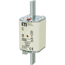 WT-1 NH1 GG P 250A WKŁADKA TOPIKOWA PRZEMYSŁOWA ZWŁOCZNA 500V BM WT-NH