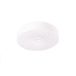 OPRAWA SIECIOWO-AWARYJNA NATYNKOWA STARLET ROUND LED SO 250 CB IP20 / 91760