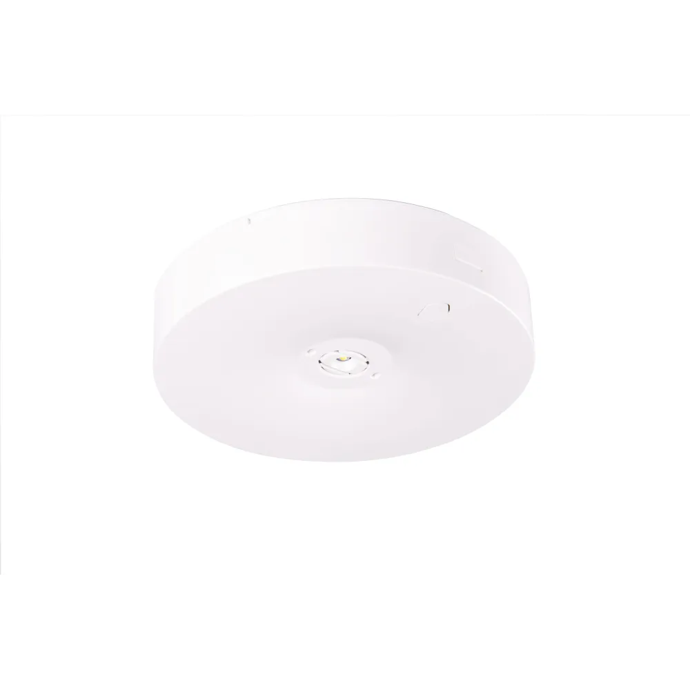 OPRAWA SIECIOWO-AWARYJNA NATYNKOWA STARLET ROUND LED SO 250 CB IP20 / 91760