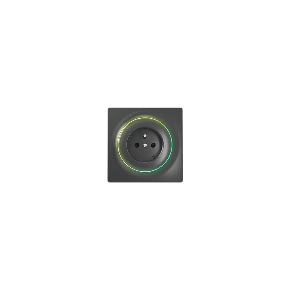 FGWOE-011-8 FIBARO WALLI OUTLET TYPE E (ANTRACYT)