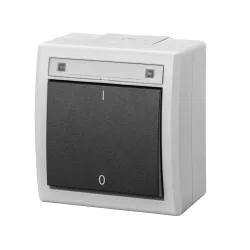 AQUANT 2K SZARY ŁĄCZNIK NT 2-BIEGUNOWY IP55 ZACISKI ŚRUBOWE 10AX 250V