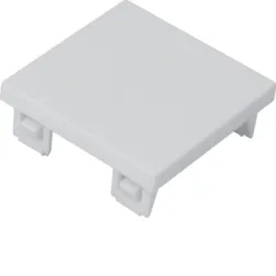 TEHALIT.GB-EG MODUŁ BIAŁY ZAŚLEPKA GBMBV34R1/R2/R3 45X45MM PA