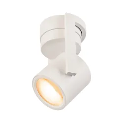 OCULUS BIAŁY/ PRZEZROCZYSTY OPRAWA SUFITOWA/ ŚCIENNA LED 11W 2000-3000K 36-780LM  IP20 ALU/ SZKŁO
