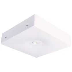 OPRAWA SIECIOWO-AWARYJNA NATYNKOWA STARLET QUAD LED SO 150 SA 2H MT IP20 / 92808