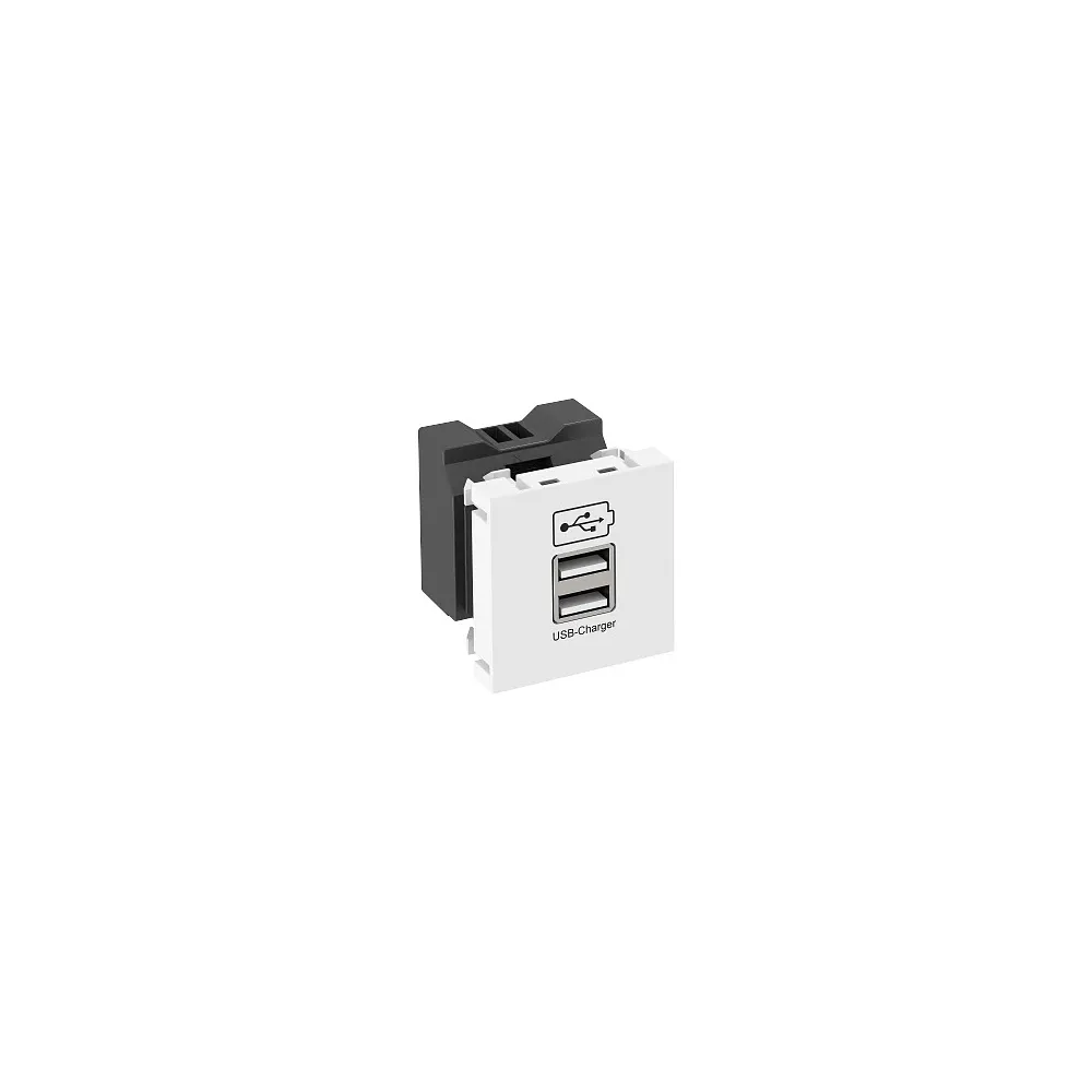 MTG-2UC2.1 RW1 BIAŁY ŁADOWARKA USB, 2.1 A