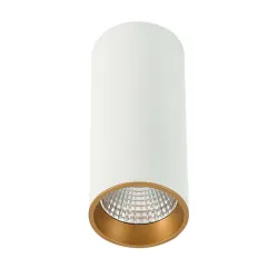 MOLDES BIG WH/GO CELING BIAŁY/ ZŁOTY OPRAWA SUFITOWA SPOT NT LED 12W WW 3000K 820LM IP20 ALUMINIUM