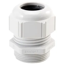 SKINTOP ST ISO M25X1,5 RAL 7001 GY