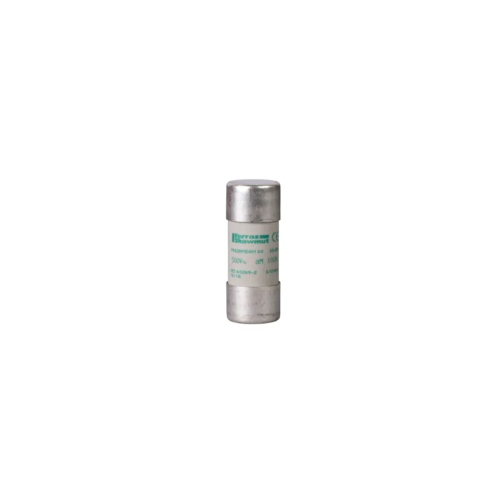 Schneider Electric Bezpiecznik AM cylindryczny 22x58mm 100A 500VAC, DF2FA100