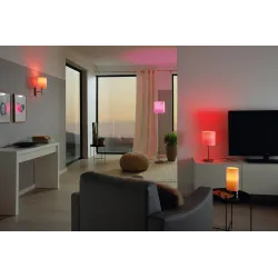 PASTERI NIKIEL SATYNOWY/ BIAŁY OPRAWA ŚCIENNA KINKIET NT 1X E27/ 60W IP20 STAL/ TKANINA
