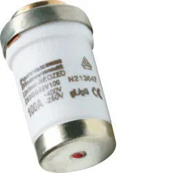 WKŁADKA BEZPIECZNIKOWA D03/M30X2 WYK.ZWŁOCZNE GG 100A 400VAC/250VDC