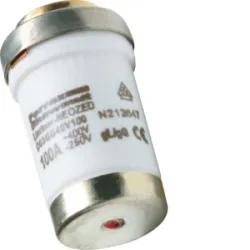 WKŁADKA BEZPIECZNIKOWA D03/M30X2 WYK.ZWŁOCZNE GG 100A 400VAC/250VDC