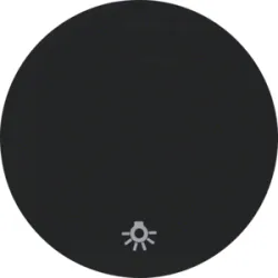 R.1/R.3 MODUŁ CZARNY POŁYSK KLAWISZ 1X "ŚWIATŁO"