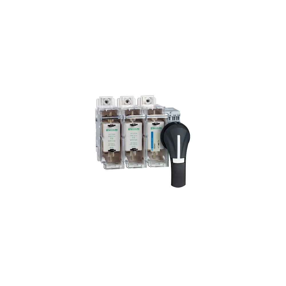 Schneider Electric Uchwyt obrotowy bezpośredni przedni czarny IP65 100/400A, GS2AH530