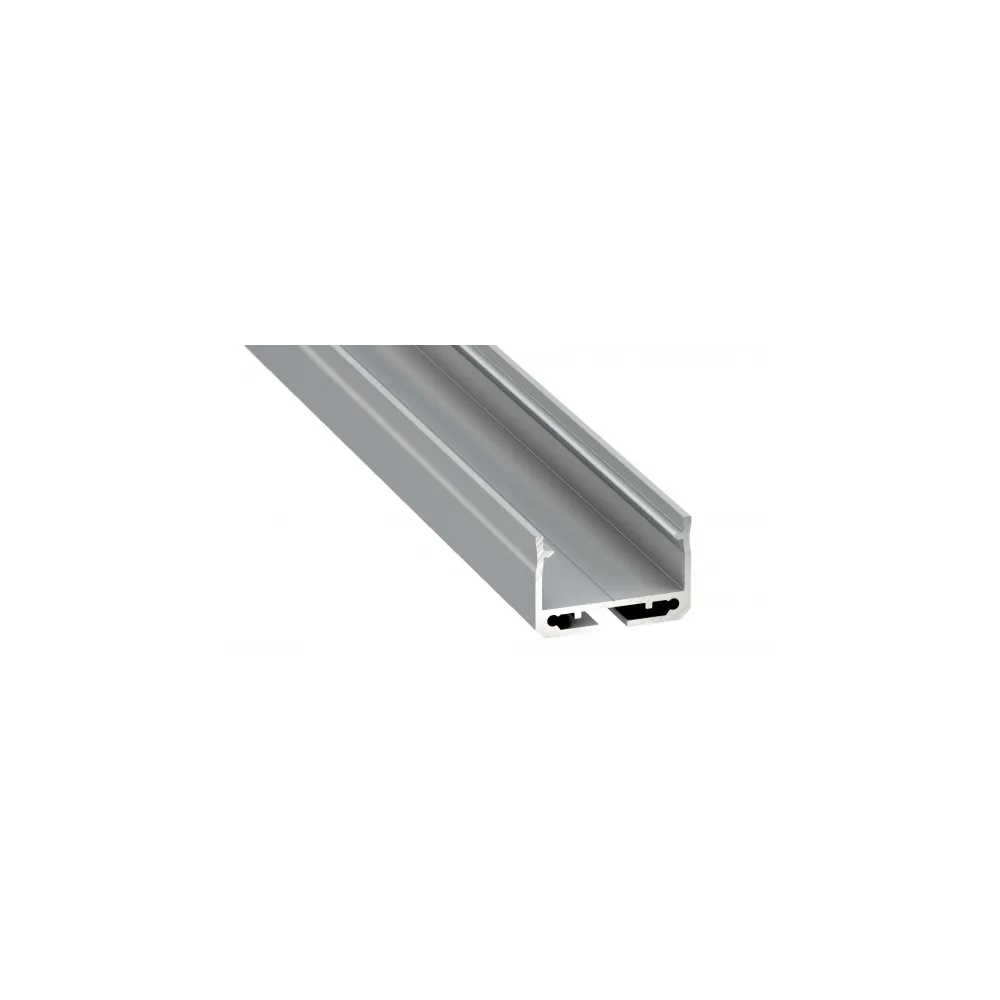 PROFIL TYP SILEDA SREBRNY ANODOWANY 2020MM