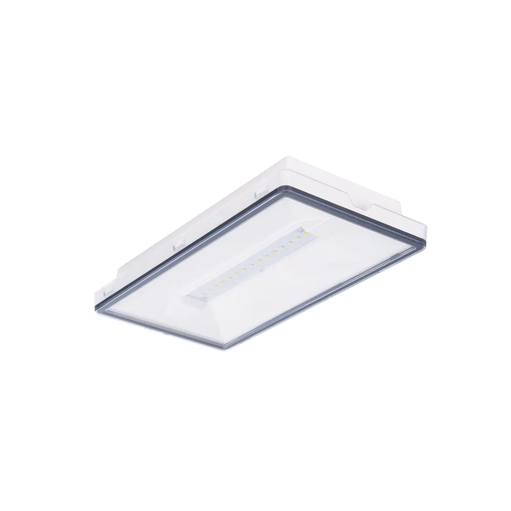 OPRAWA EWAKUACYJNA/AWARYJNA VELLA LED SO 250 SA 3H CT IP44