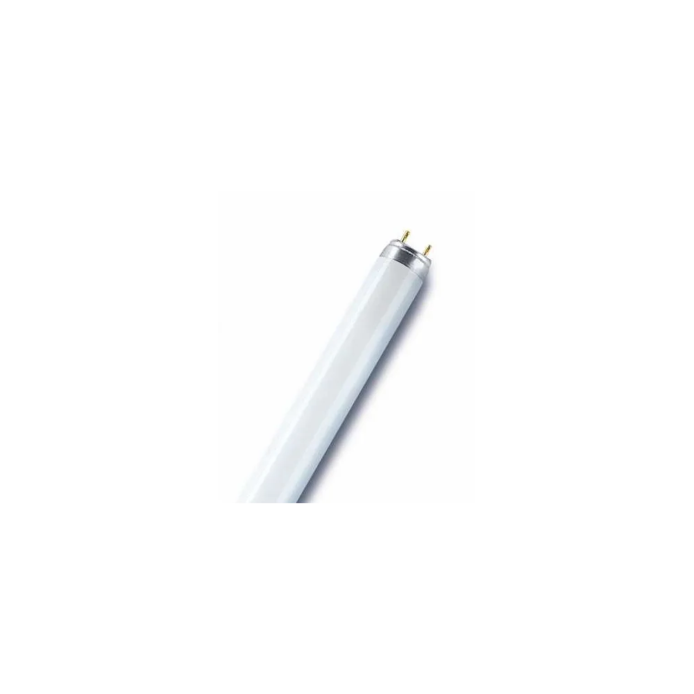 L 36W 76 ŚWIETLÓWKA LINIOWA 36W G13 T8 76 NATURA 1800LM LUMILUX
